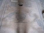 Emblemi dei 4 Elementi