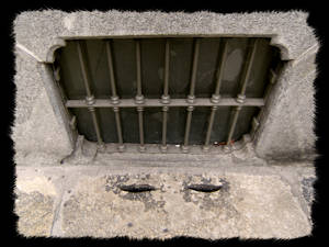 Via Lascaris: i curiosi occhi