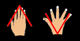I segni della Lama e del Calice nella forma delle mani