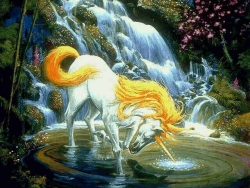 L'Unicorno