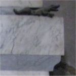 La salamandra