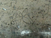 Fiori della Vita graffiti alla base di una colonna